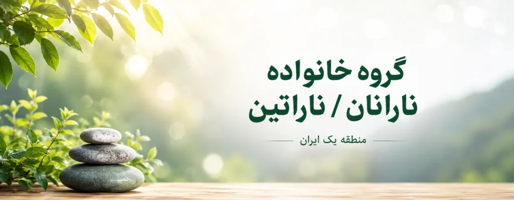 انجمن خانواده معتادان نارانان / ناراتین